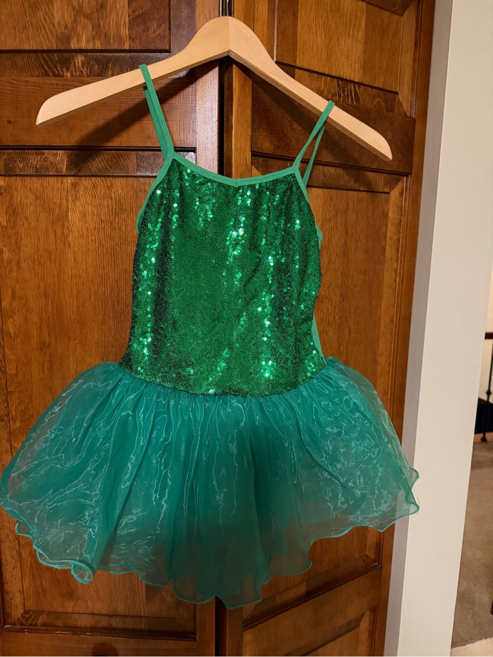 Green Sequin Tutu Costume Dress for Kids